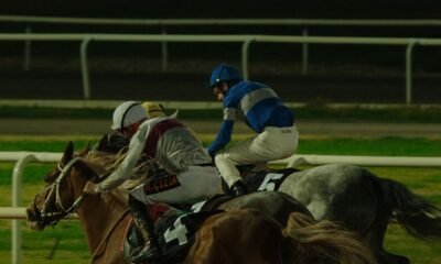 lingfield tips