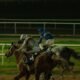 lingfield tips