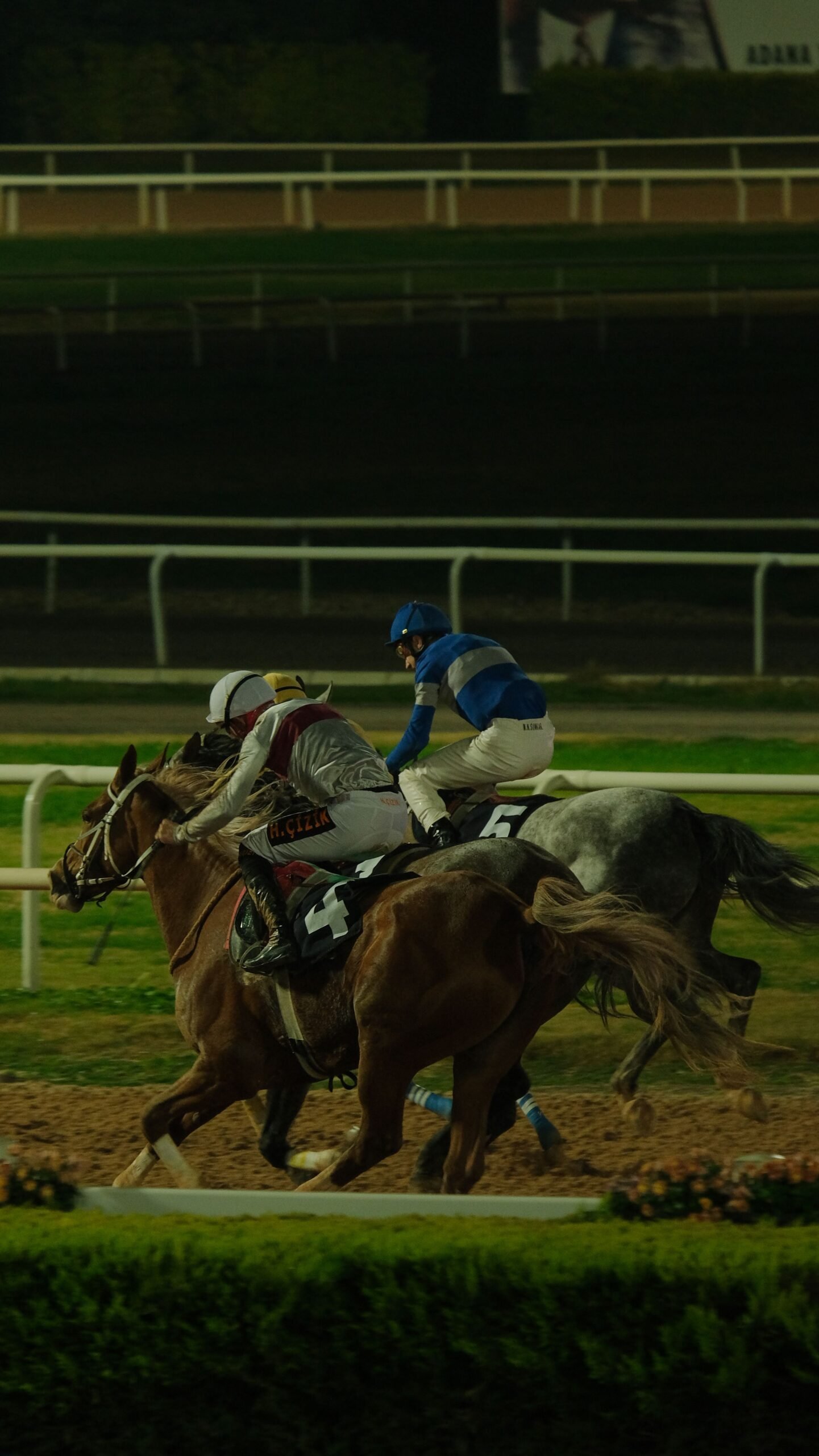 lingfield tips