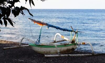 Amed Bali