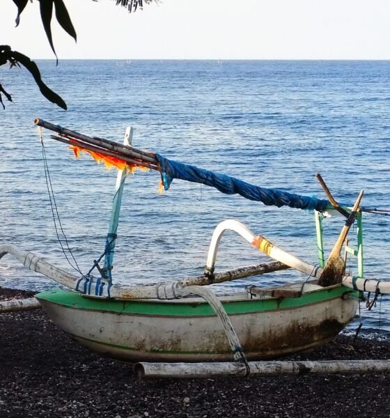 Amed Bali