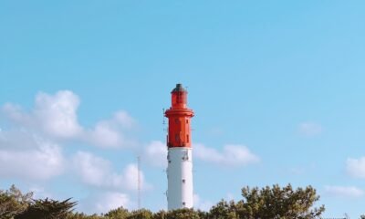 cap ferret