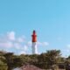 vivienne verwey cap ferret