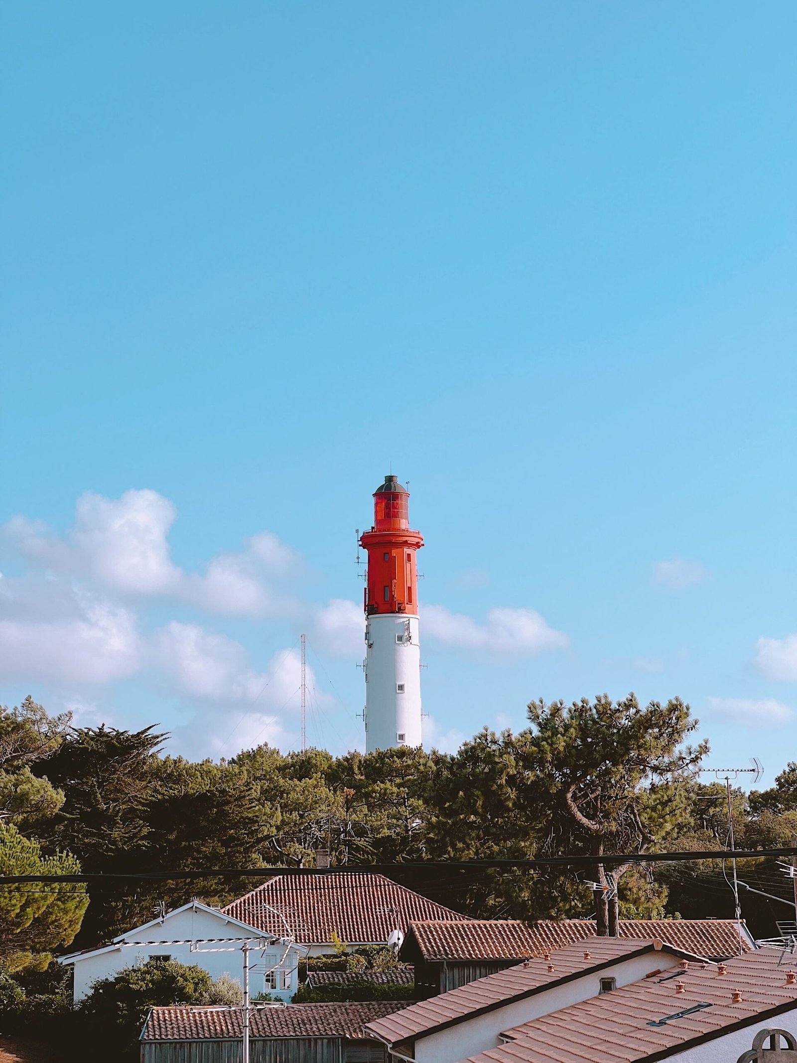 cap ferret