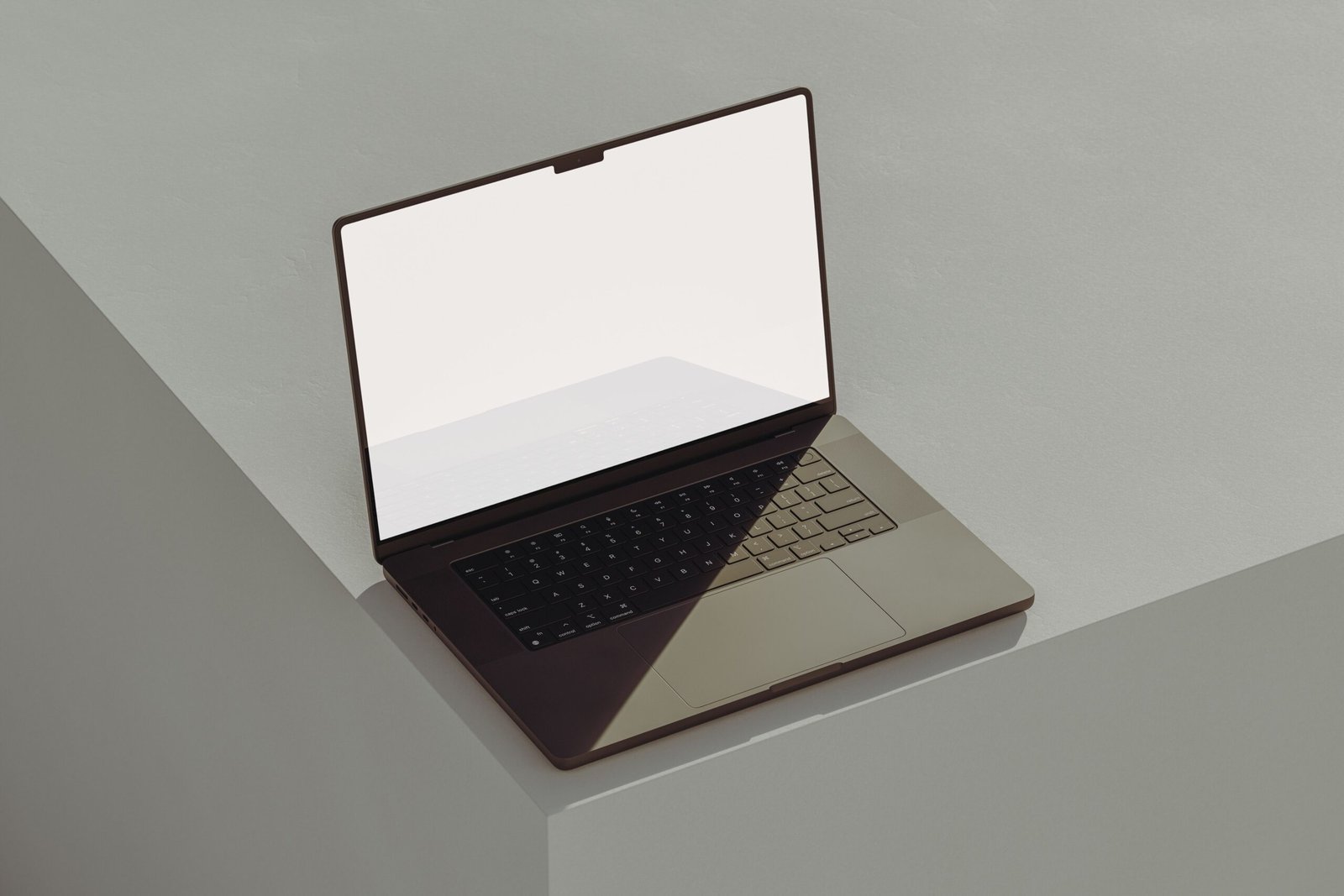 vivienne verwey Laptop Computers With CD ROM